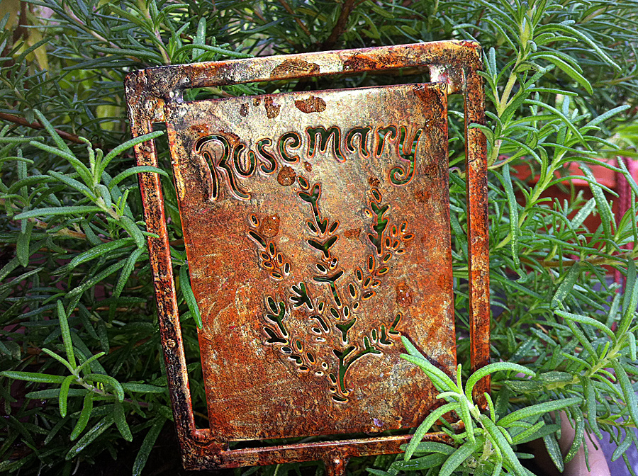 There is Something About&nbsp;Rosemary