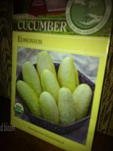 cucumber